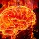 Illustration for article titled What makes a psychopath's brain different?